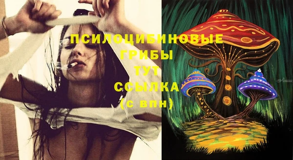 а пвп мука Белокуриха