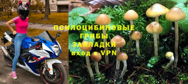 а пвп мука Белокуриха